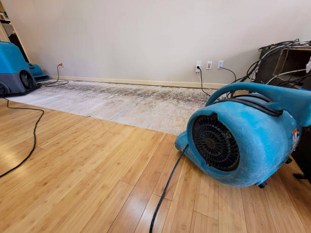 Professional Basement Flood Cleanup technician working in Brewer, ME